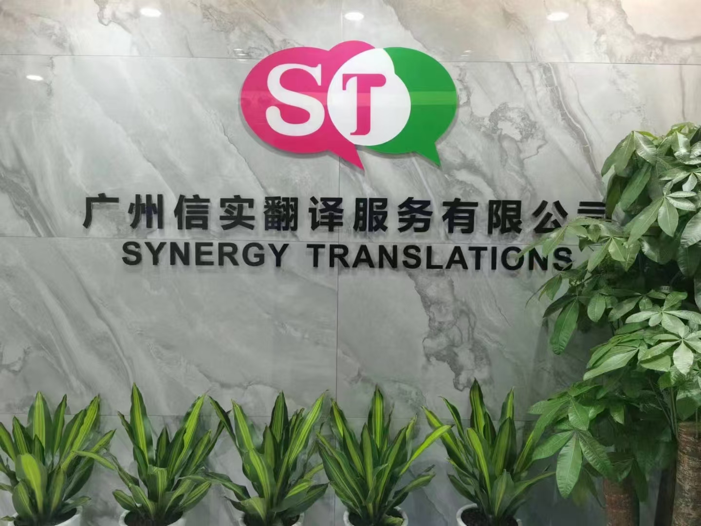 全球语言能力 驱动国际沟通的卓越翻译服务